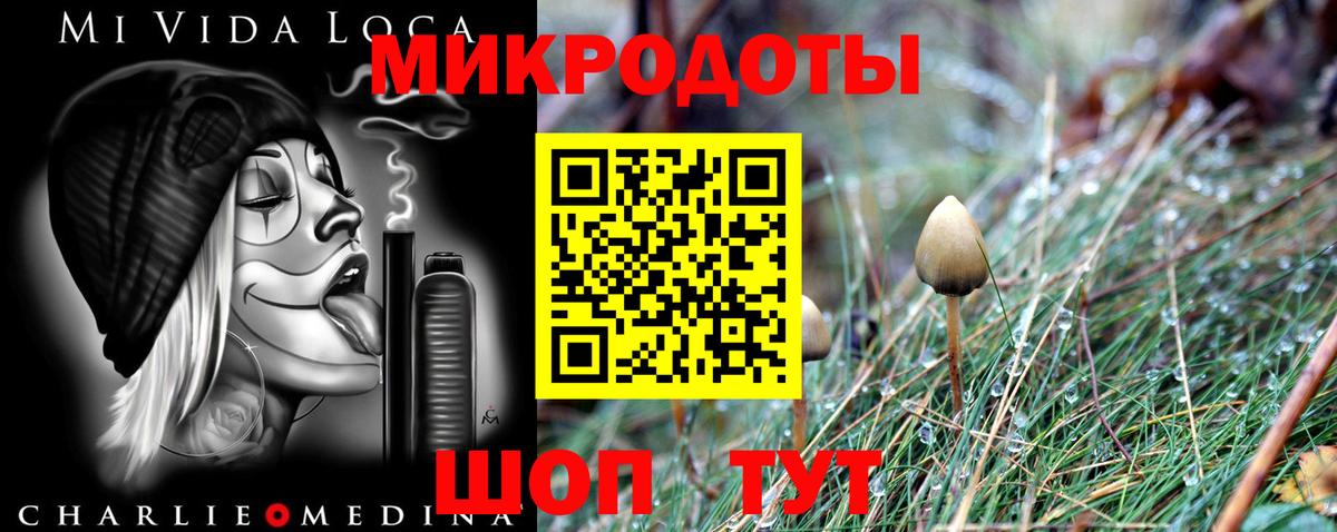 Псилоцибиновые грибы Magic Shrooms Анапа